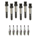 Set of 6 Ignition Coils & NGK Spark Plugs for BMW 320i L6 (2001–2005)