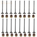 Intake Exhaust Valves Set for Honda Civic Del Sol (1992–2005)