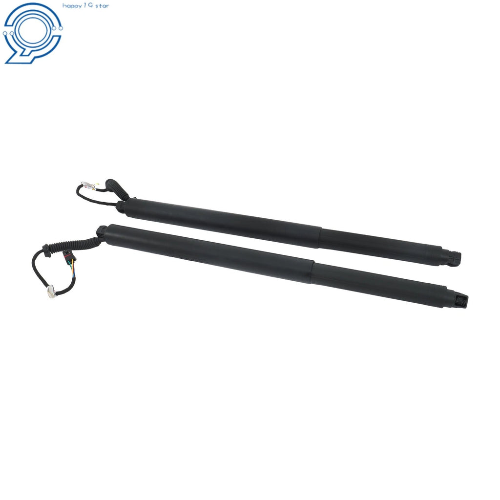 Set of 2 Electric Tailgate Support Rods for Nissan Murano (2015–2020) 905605AA1A