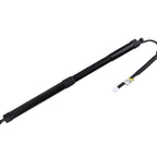 2X Rear Trunk Lift Support Strut for Toyota Highlander (2014–2019)