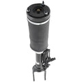 Suspension Strut Assembly for Mercedes Benz R320 R350 R500 R63 AMG (2006–2013)