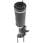 Suspension Strut Assembly for Mercedes Benz R320 R350 R500 R63 AMG (2006–2013)