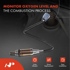 2X O2 Oxygen Sensors for Ford F150 (2011-2014)