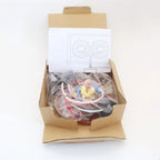 12V 40A Dual Electric Fan Relay Wire Kit & Thermo Sensor Switch for Car (N/A)