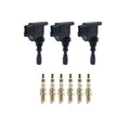 Set of 3 Ignition Coils & 6 NGK Iridium Spark Plugs for Sedona XG300 (2002–2006)