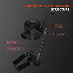 Rear Right Suspension Ride Height Sensor for Chevrolet Tahoe GMC Yukon