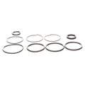 Replacement Seal Kit for OMC Cobra Tilt & Trim Cylinder (0985060, 3854247)