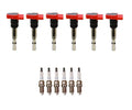 Denso Ignition Coil Kit for (6 Pieces, Gap 0.044)