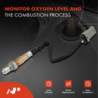 O2 Oxygen Sensor for Chevrolet Equinox (2018-2023)