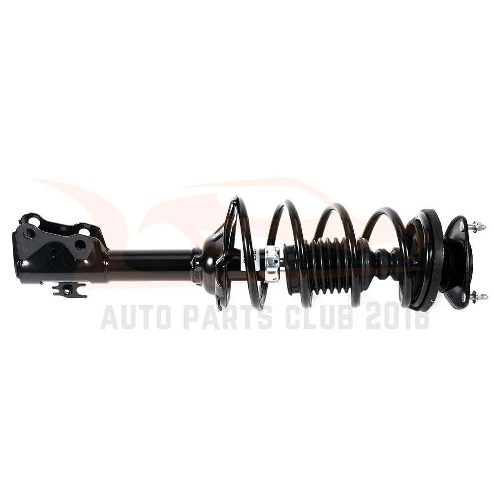 Set of 2 Front Complete Struts with Springs for Toyota Echo (2000–2005)