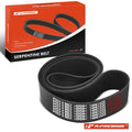 Serpentine Belt for Sterling L7500, L9500, LT9500 (2003)