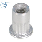 Pack of 100 M6 Rivet Nuts for Automotive Applications