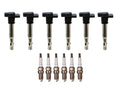 Set of 6 Denso Ignition Coils for (Double Platinum, Gap 0.044)