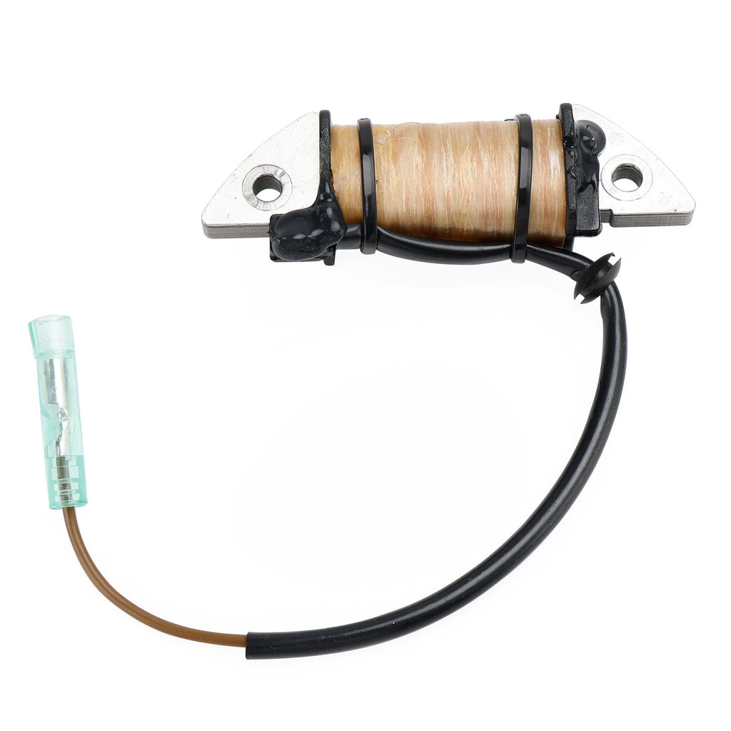 Charge Coil for Yamaha Outboard 2HP 2B 2C 1995–2006 6A1-85520-00