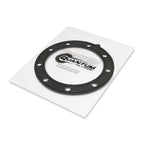 QFS Fuel Pump + Regulator + Tank Seal + Filter for Sea-Doo (270600029)