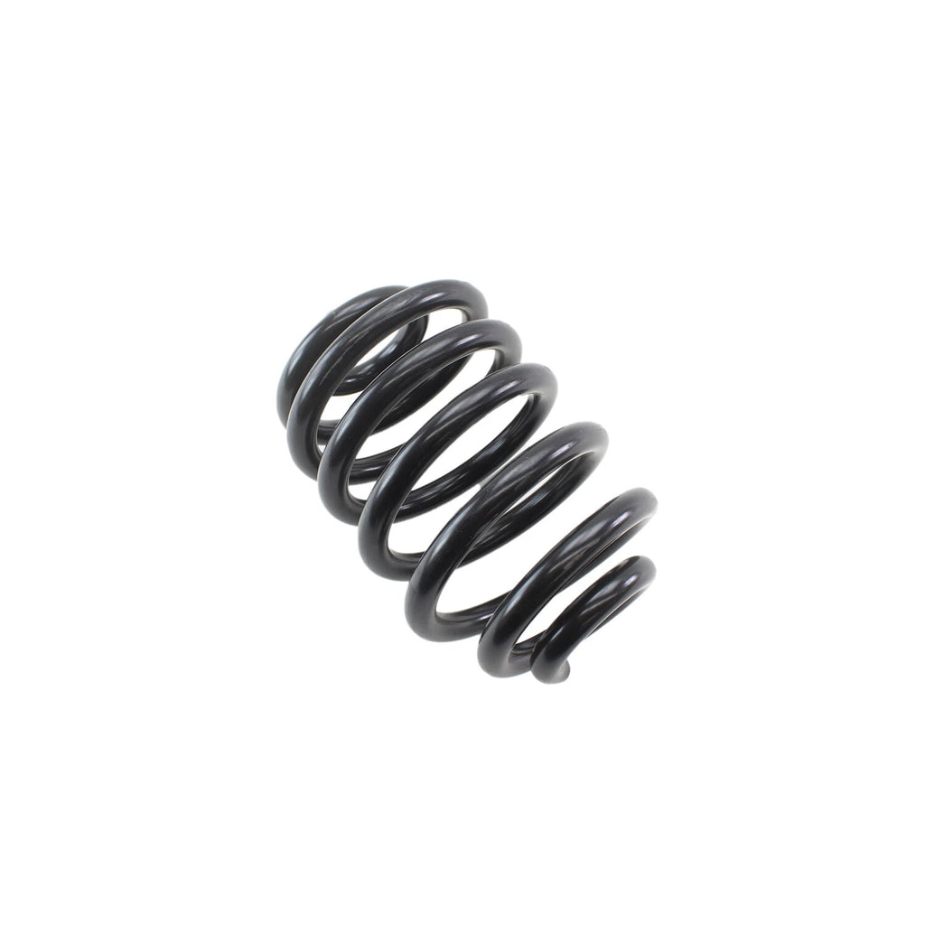 Rear Coil Spring for BMW E46 M3 3.2L L6 (2001–2006) 4208475