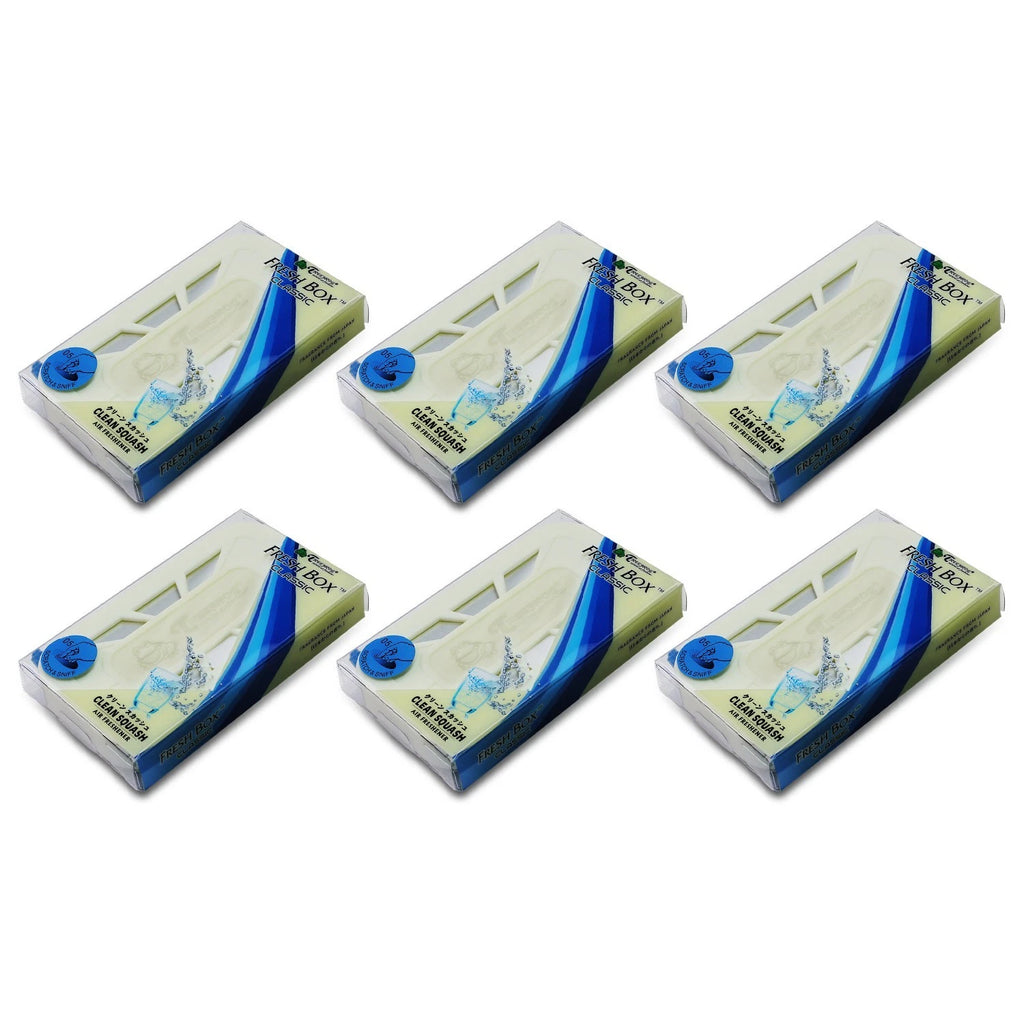 6pc Clean Squash Air Freshener for Universal Fit (No Specific Year/Model)