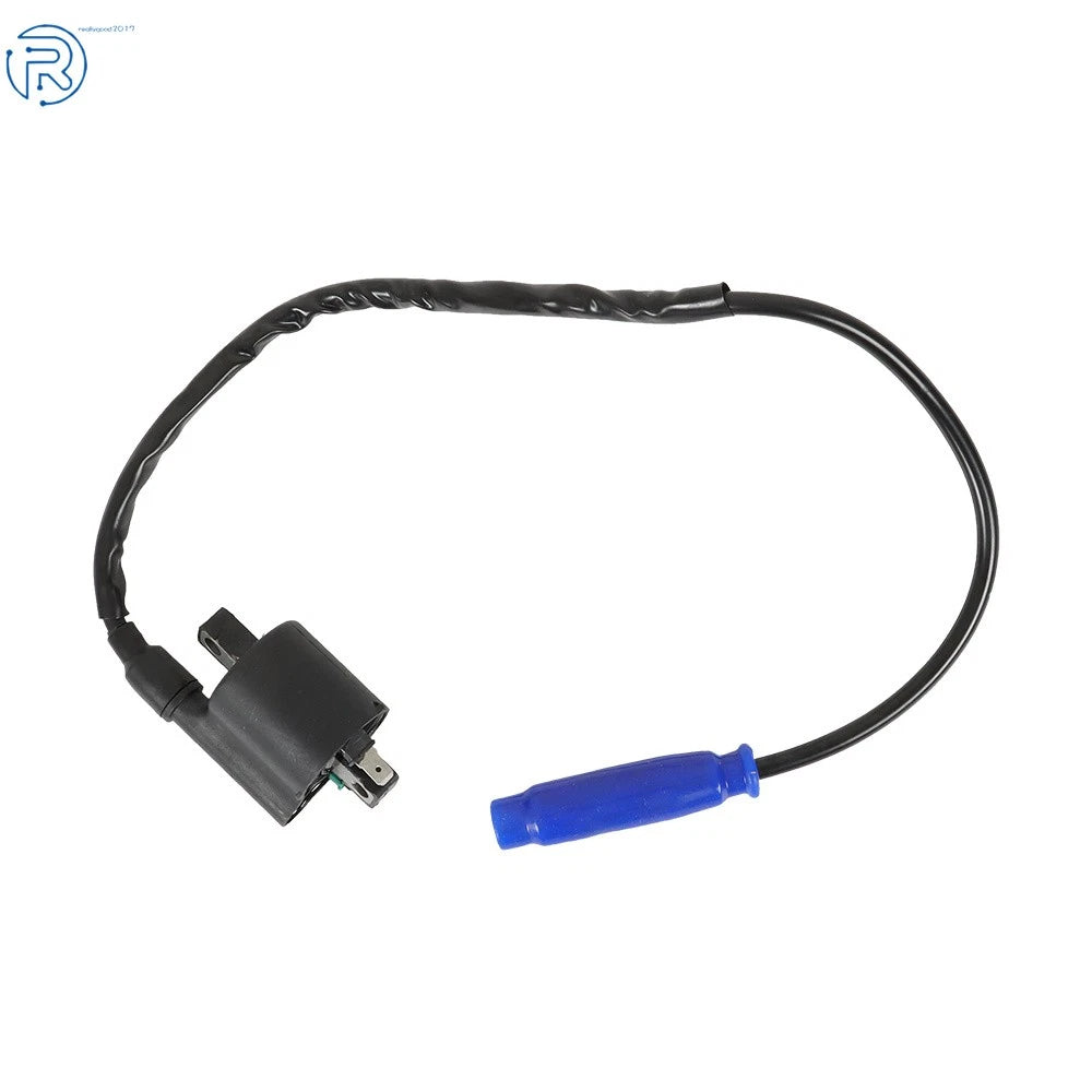 2X Ignition Coil Spark Plug for Kawasaki Teryx4 750 (2012-2013)