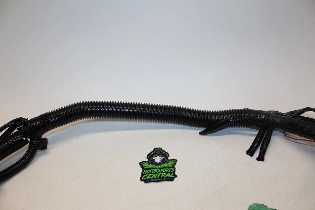 Main Electrical Wire Wiring Harness for Kawasaki 300LX 310X 300X (2011–2013)