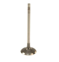 TRW Engine Intake Valve 2666 for