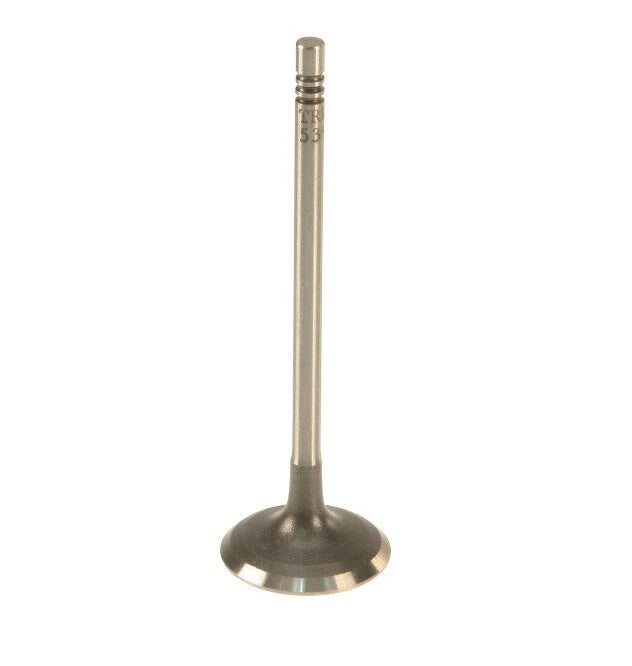 TRW Engine Intake Valve 2666 for