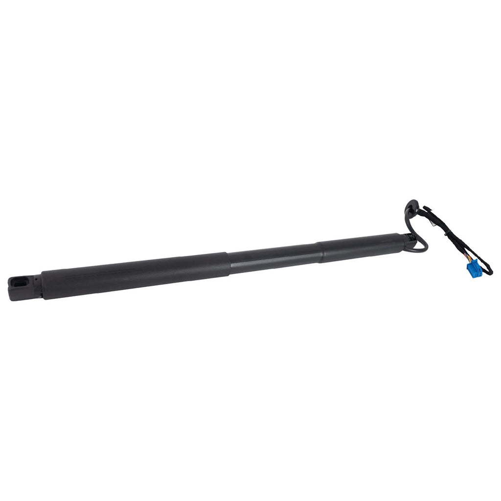 Liftgate Lift Supports Set of 2 for MB Mercedes