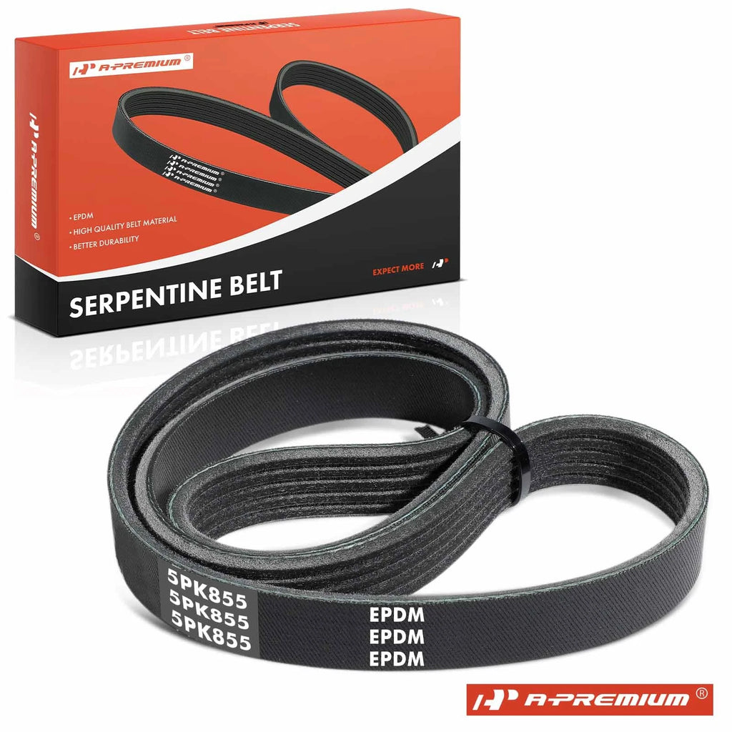 Serpentine Belt for Nissan Maxima, Quest (1992–1998)