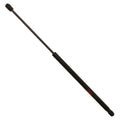 Hatch Lift Support for BMW 328i (2007–2012)