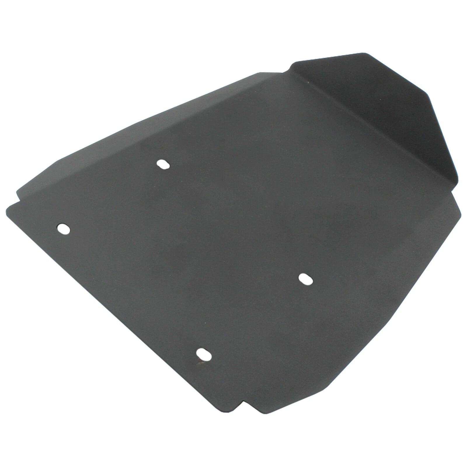 Rear Fender Mudguard Bracket for BMW R1300GS ADV (2023–2024) TP