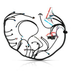 Standalone Wiring Harness for 4L60E 4.8 5.3 6.0 DBC LS1 (1997–2006)