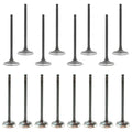 Set of 16 Intake & Exhaust Valves for Ford Focus 2.0L L4 (2012–2017)