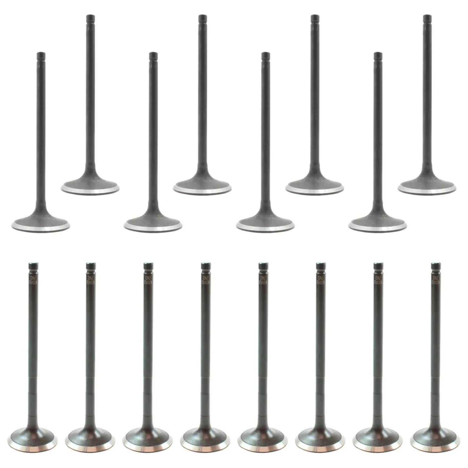 Set of 16 Intake & Exhaust Valves for Ford Focus 2.0L L4 (2012–2017)