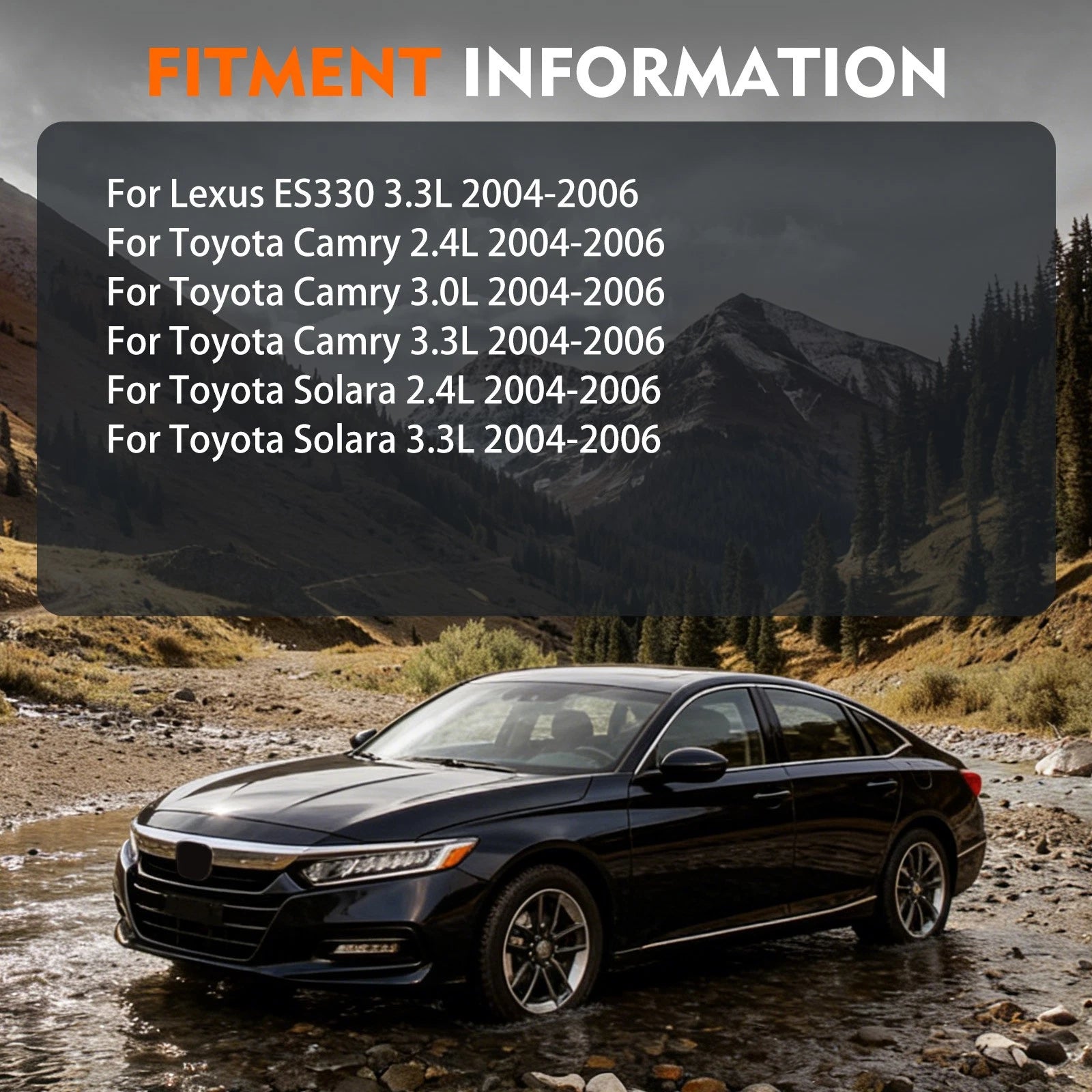 Suspension Struts & Sway Bar End Links for Lexus ES330 (2004–2006)