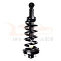 Set of 2 Quick Complete Struts Shocks Spring & Mount for Ford Expedition (2007–2017)