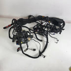 Main Wiring Harness for Harley Davidson CVO Street Glide (2015) 69200910