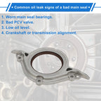 1Pc Rear Crankshaft Oil Seal for Nissan Maxima Murano (2000–2006) No.12296-31U20
