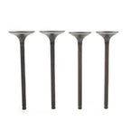 Intake & Exhaust Valve Kit for Honda Sportrax TRX400EX (1999-2008)