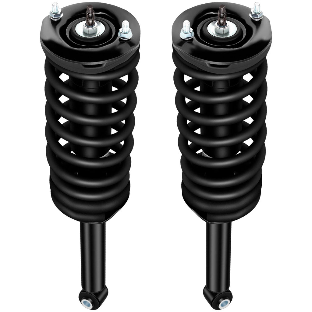 2X Rear Quick Complete Struts Shocks Springs for Nissan Maxima (1995–1999)