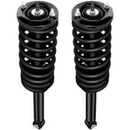 2X Rear Quick Complete Struts Shocks Springs for Nissan Maxima (1995–1999)