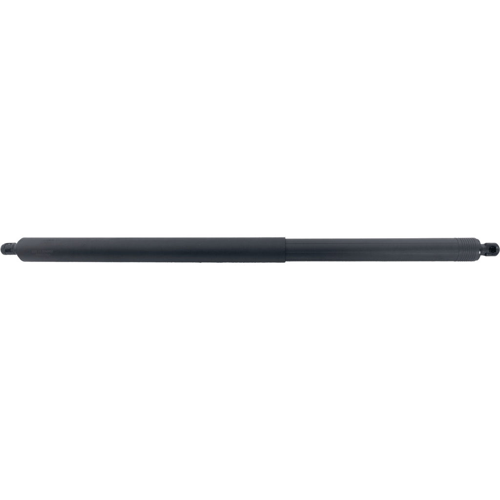 Liftgate Lift Supports Set of 2 for X Pair