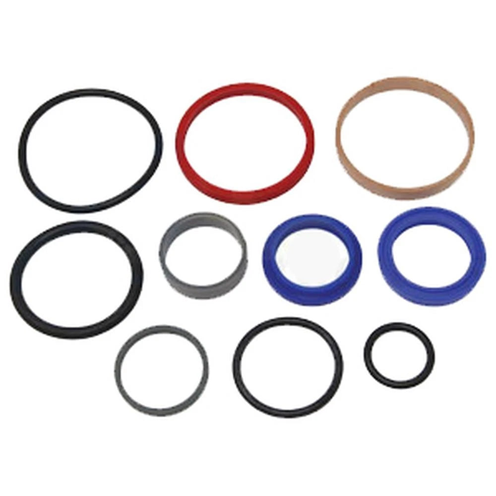 Hydraulic Cylinder Seal Kit for Ford/New Holland C175, LS160, LS170 (C978SK)