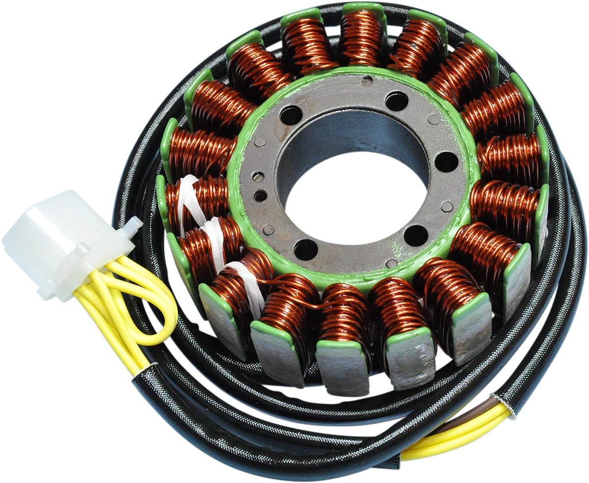 Stator for Rick's Motorsport Electric (21-559)