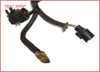 Knock Sensor and Low Oil Wire Harness for Thunderbird SC (1989–1990)