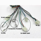 ATV Electric Wiring Harness Loom for 50/70/90/110/125cc Quad Bike (2000–2023)