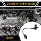 Crankshaft Position Sensor for Hyundai H-1 H100 H350 Porter 2.5 (391804A810)
