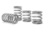 Tender Springs for Polaris RZR XP 1000 (2014–2023)