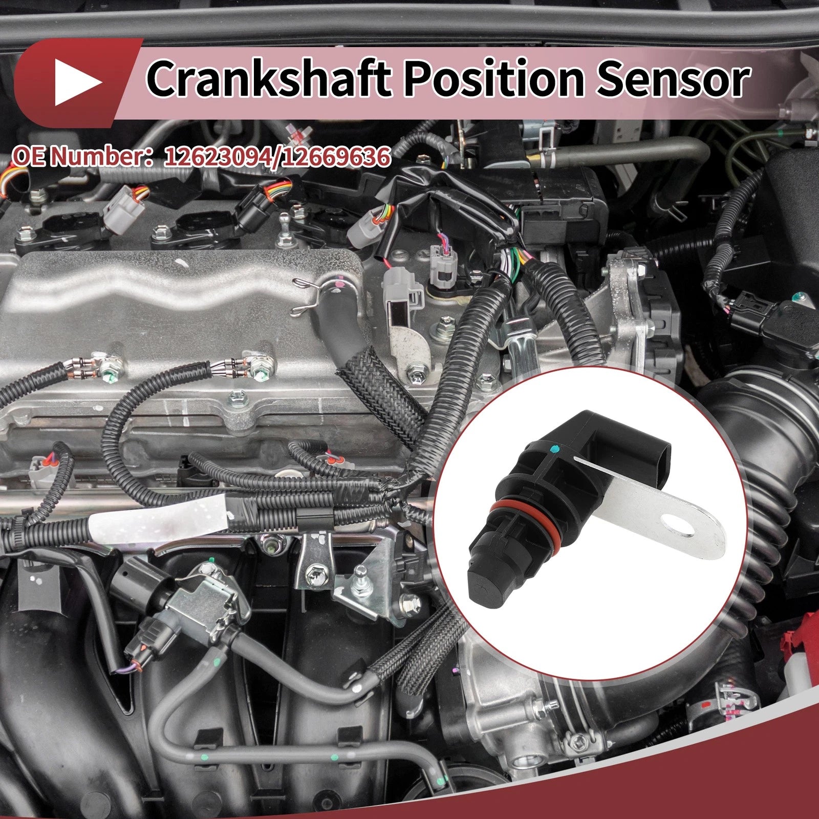 Crankshaft Position Sensor for Chevrolet Corvette C7 6.2 (2014–2023) No. 12623094