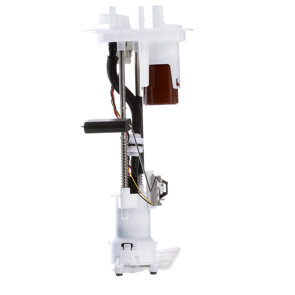 Delphi FG0847 Fuel Pump Module Assembly for Ford F-150/Lincoln Mark LT (2004–2008)