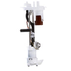 Delphi FG0847 Fuel Pump Module Assembly for Ford F-150/Lincoln Mark LT (2004–2008)