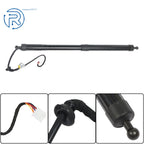 2X Rear Tailgate Lift Support Strut for Toyota Highlander (2014-2019)
